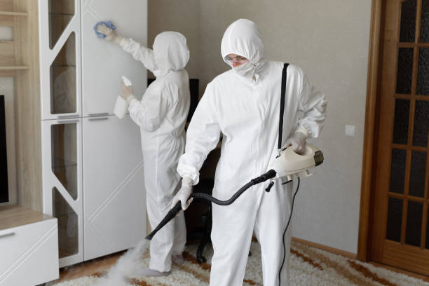 Dublin, OH Mold Removal Company