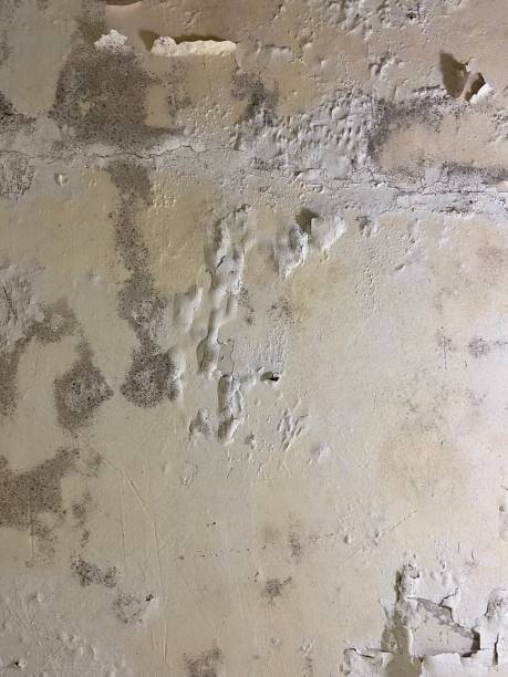 Crawl Space Mold Removal in Dublin, OH