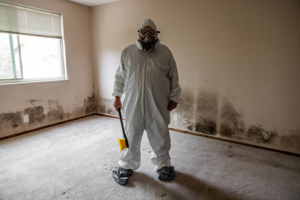 Certified Mold Removal in Dublin, OH
